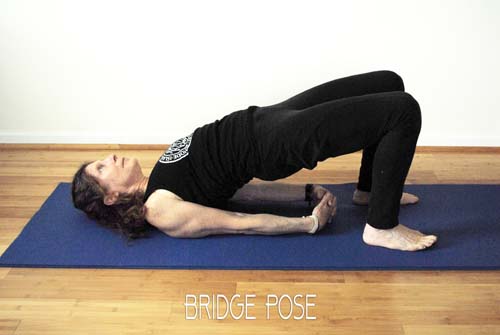 Bridge Pose1