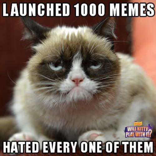 Grumpy Cat001