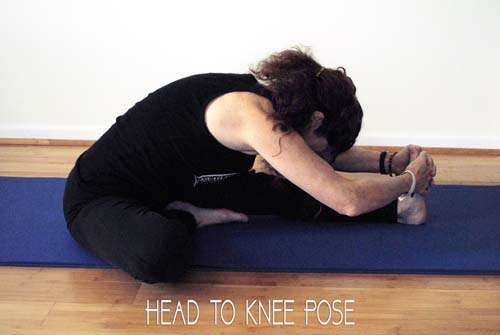 Head to Knee Pose5